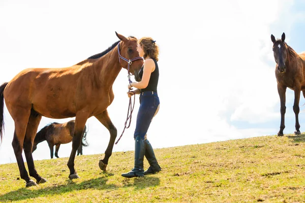 骑师小女孩爱抚着棕色的马 — 图库照片