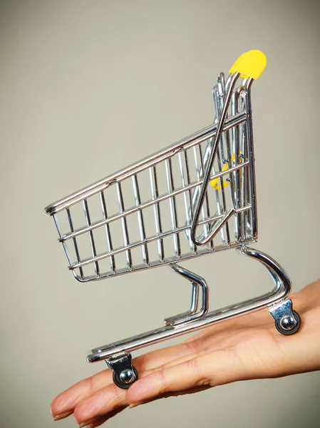 Mulher mão segurando pequeno carrinho de compras — Fotografia de Stock