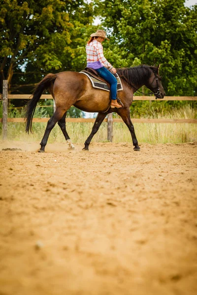 Cowgirl csinál ló lovaglás a táj rét — Stock Fotó