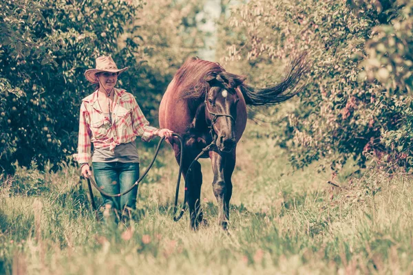 Donna occidentale che cammina sul prato verde con cavallo — Foto Stock