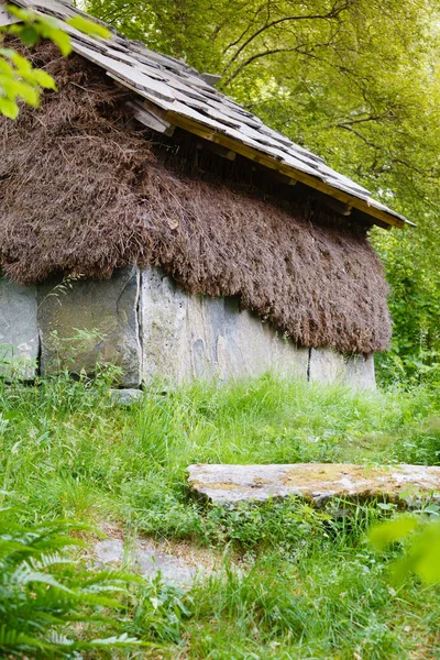 Vecchia casa norvegese coperta di fieno — Foto Stock