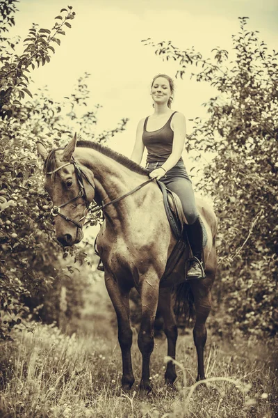 Young woman sitting on a horse — Stock Photo, Image