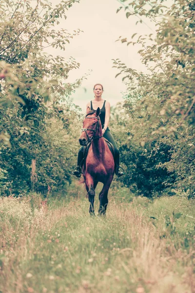 ผู้หญิงสาวล้อเล่นกับม้า — ภาพถ่ายสต็อก