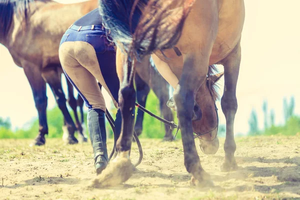 Closeup sepia photo of dark horse legs running — Stock Photo, Image