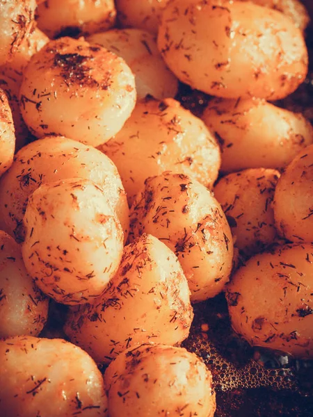 Podpořil mladé brambory s kořením v misce — Stock fotografie