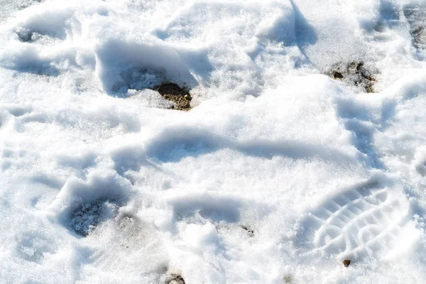 Melting snow with human shoes footprints — Stock Photo, Image