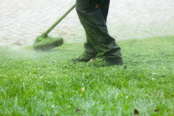 Adam brushcutter kullanarak yeşil çim biçme — Stok fotoğraf