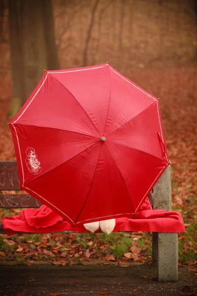 Девушка в парке с зонтиком . — стоковое фото