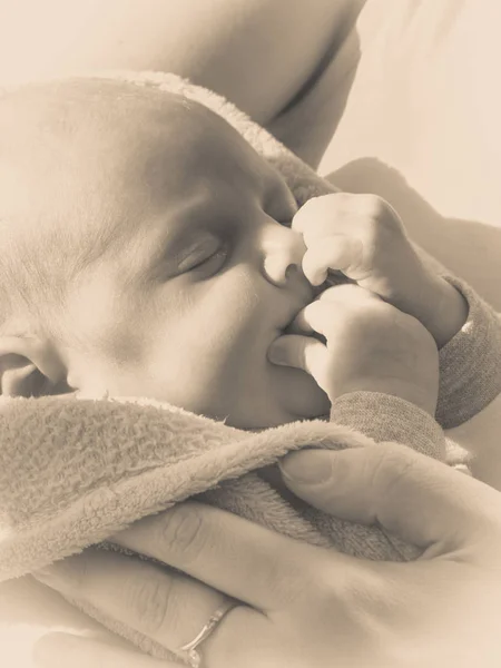 Pequeno bebê recém-nascido dormindo calmamente em cobertor — Fotografia de Stock