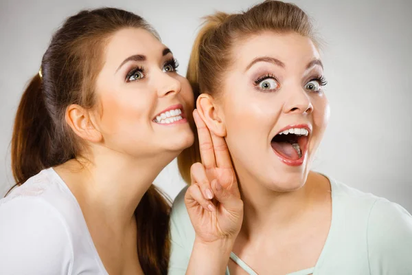 Twee vrouwen vertellen gossip — Stockfoto