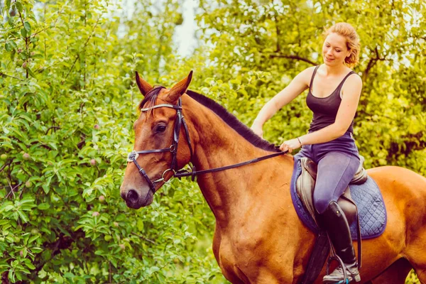 Jeune femme caressant et assis sur le cheval — Photo