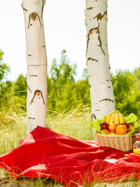 Piknik sepeti üzerinde woods battaniyeye — Stok fotoğraf