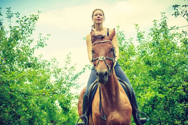 Young woman ridding on a horse — Stock Photo, Image