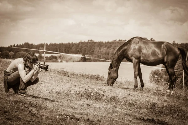 Muž pořizování Foto hnědé divoké koně — Stock fotografie