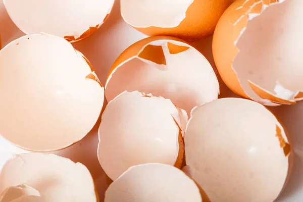 Many empty cracked eggshells — Stock Photo, Image