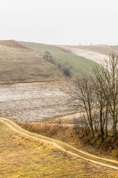 Blick auf die Landschaft frostige hügelige Felder mit Bäumen — Stockfoto