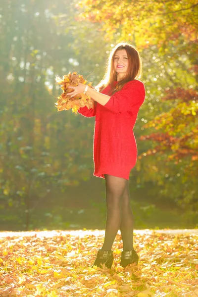 Chica alegre divirtiéndose con hojas en el parque otoñal . — Foto de Stock