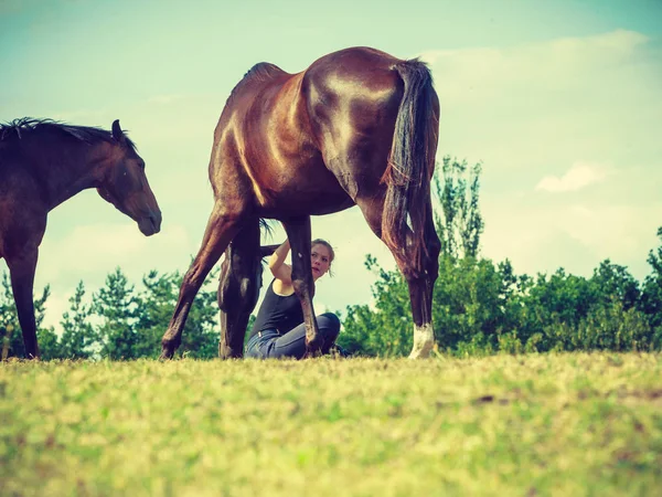 Mujer jockey sentada con caballos en el prado —  Fotos de Stock