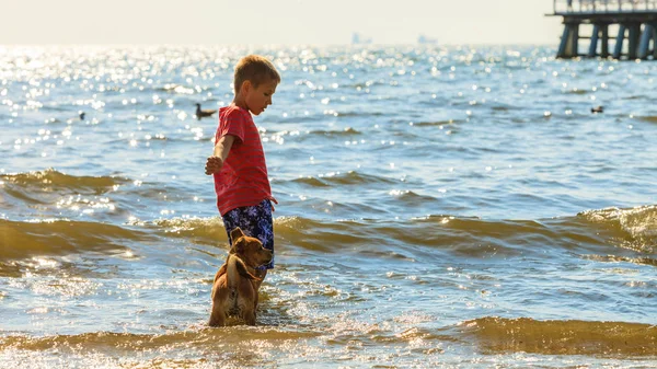 Niño jugando con su perro. — Foto de Stock