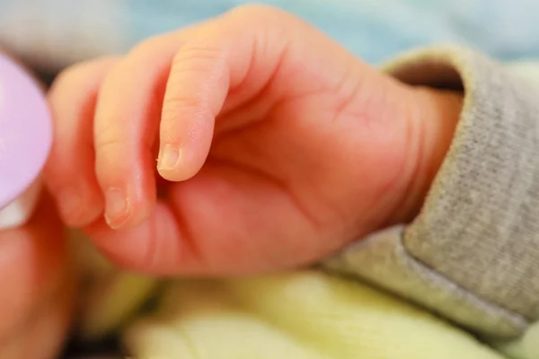 Weinig pasgeboren baby hand closeup — Stockfoto