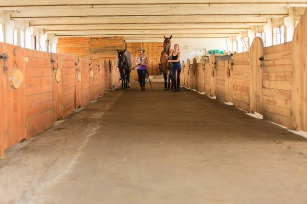Cowgirl und Jockey gehen mit Pferden im Stall — Stockfoto