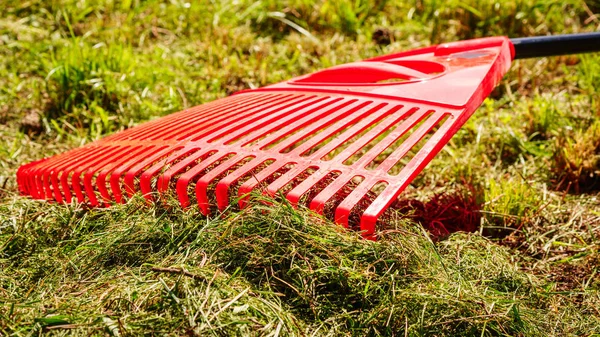 Laranja ancinho na vara coletando grama, ferramentas de jardim — Fotografia de Stock