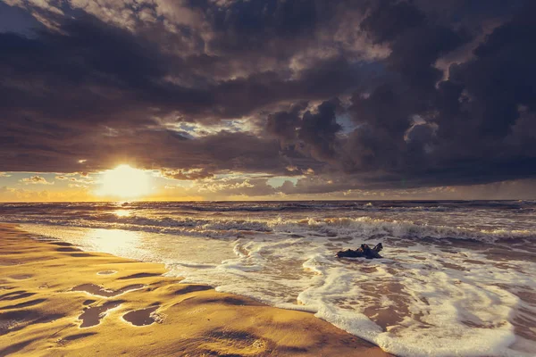 ビーチの黄金の夕日とツリー ルート — ストック写真