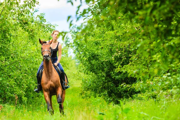 Mladá žena zbavit na koni — Stock fotografie