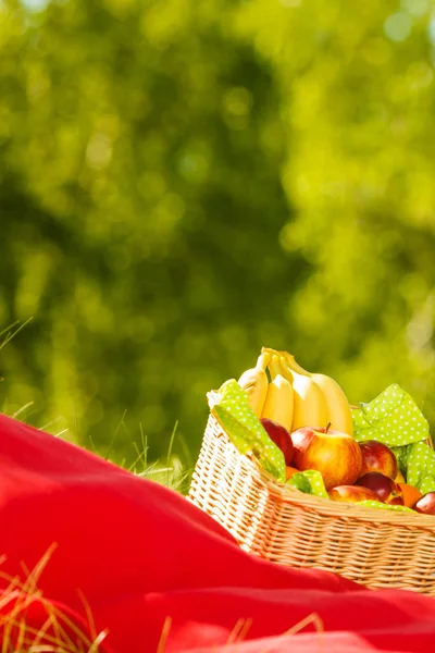 Picnic basket on blanket in woods — Stock Photo, Image