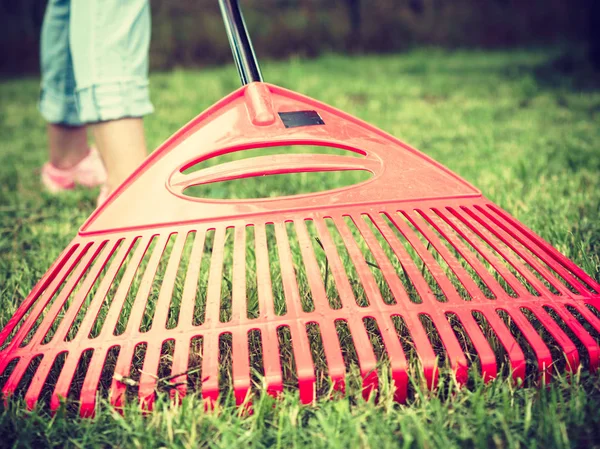 Woman using rake to clean up garden lawn — Stock Photo, Image