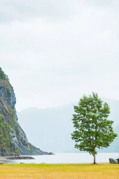 Montañas y fiordo en día brumoso Noruega —  Fotos de Stock