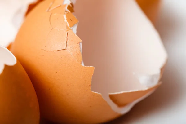 Detailed closeup of empty cracked eggshells — Stock Photo, Image