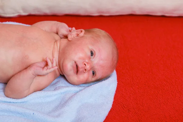 Little newborn baby lying in blanket — Stock Photo, Image