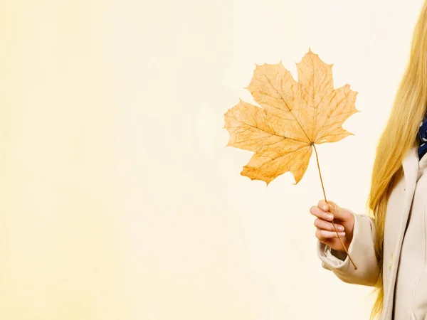 Woman holding orange autumn leaf — Stock Photo, Image