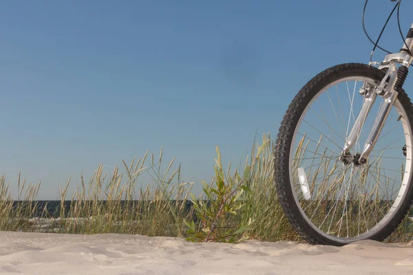 Femme méconnaissable vélo vélo sur sable — Photo