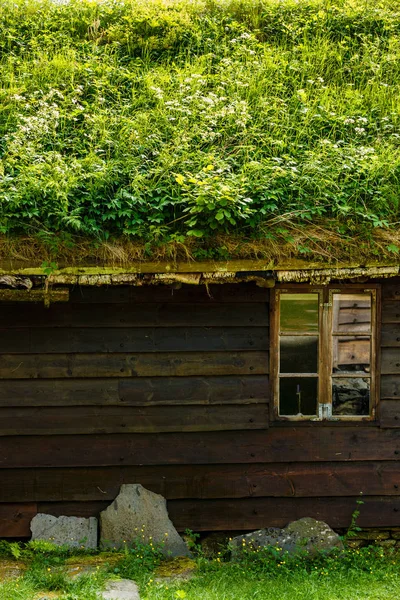House roof covered with moss — Stock Photo, Image