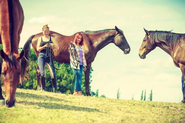 Dos mujeres relajándose con caballos en el prado —  Fotos de Stock