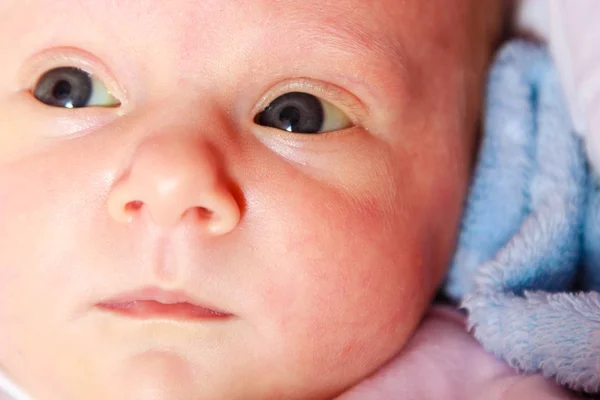 Kleines Neugeborenes liegt in Decke — Stockfoto