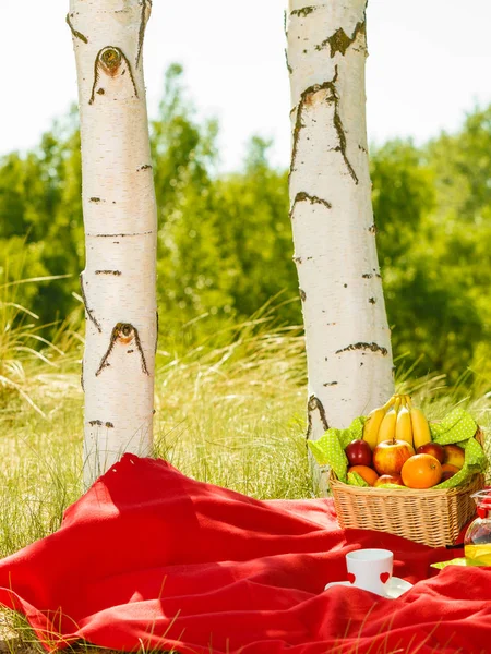 Picknickkorb auf Decke im Wald — Stockfoto
