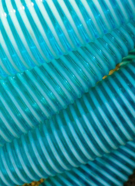 Detailed closeup of flexible plastic hose — Stock Photo, Image