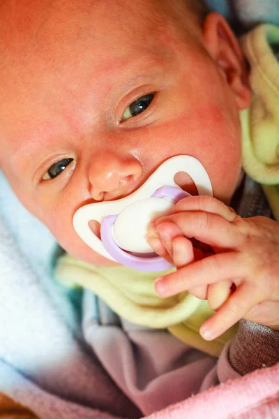 Closeup of little newborn lying with teat in mouth — Stock Photo, Image