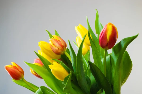 Ramo de tulipanes amarillo y naranja sobre fondo gris — Foto de Stock