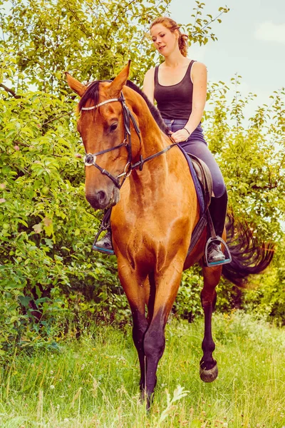 Молодая женщина, сидящая на лошади — стоковое фото