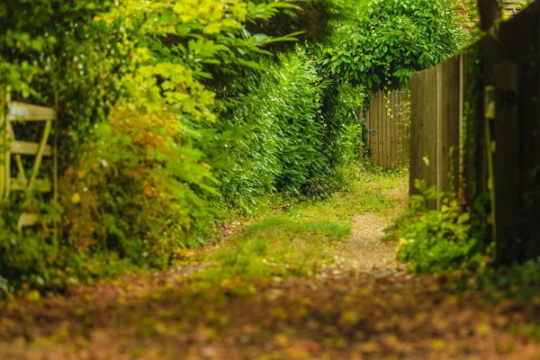 Ruhiger Weg im herbstlichen Wald oder Park — Stockfoto