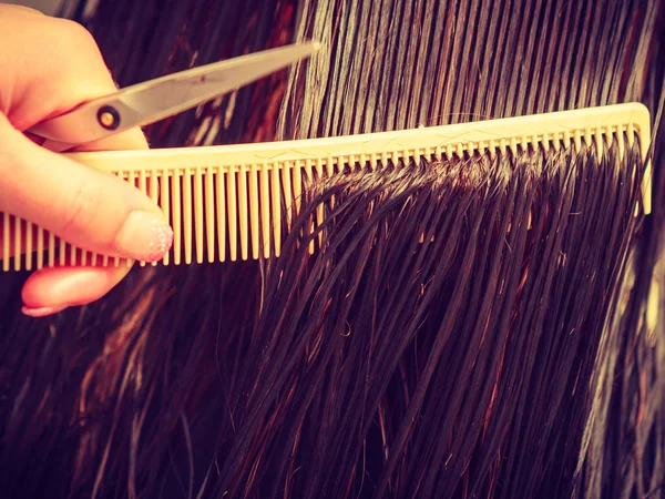 Primer plano de cabello húmedo oscuro, peine y tijeras de peluquería —  Fotos de Stock