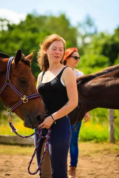 Jockey νεαρό κορίτσι χαϊδεύει καφέ άλογο — Φωτογραφία Αρχείου