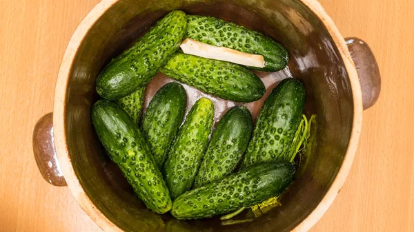 Making gepekelde komkommers in klei pot — Stockfoto