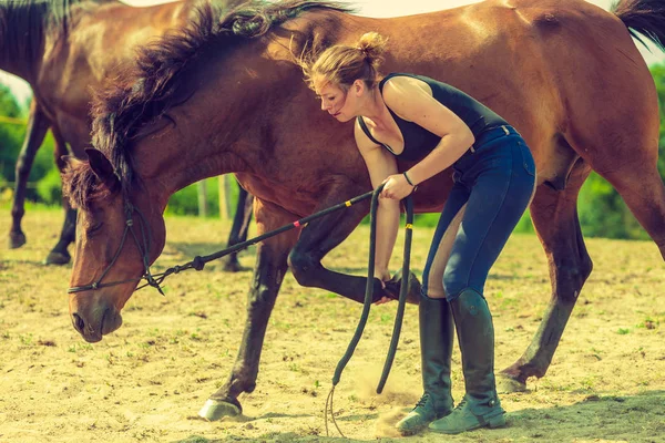 Jockey woman taking care of horse — Stock Photo, Image