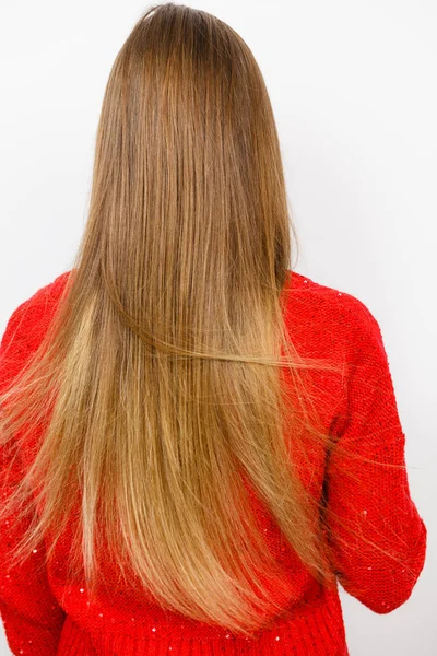 Mujer de pelo largo castaño liso. Vista trasera — Foto de Stock