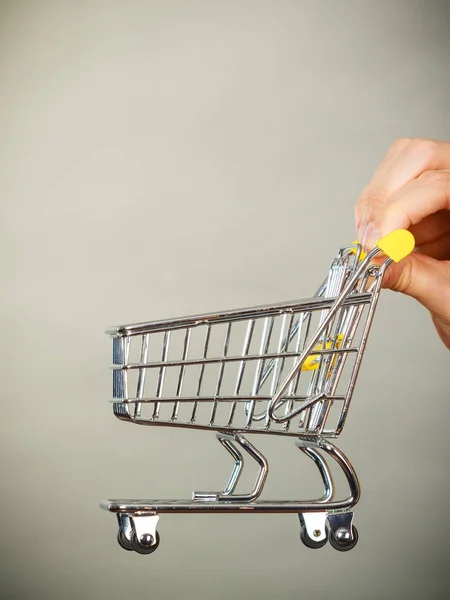 Woman hand holding small tiny shopping cart — Stock Photo, Image